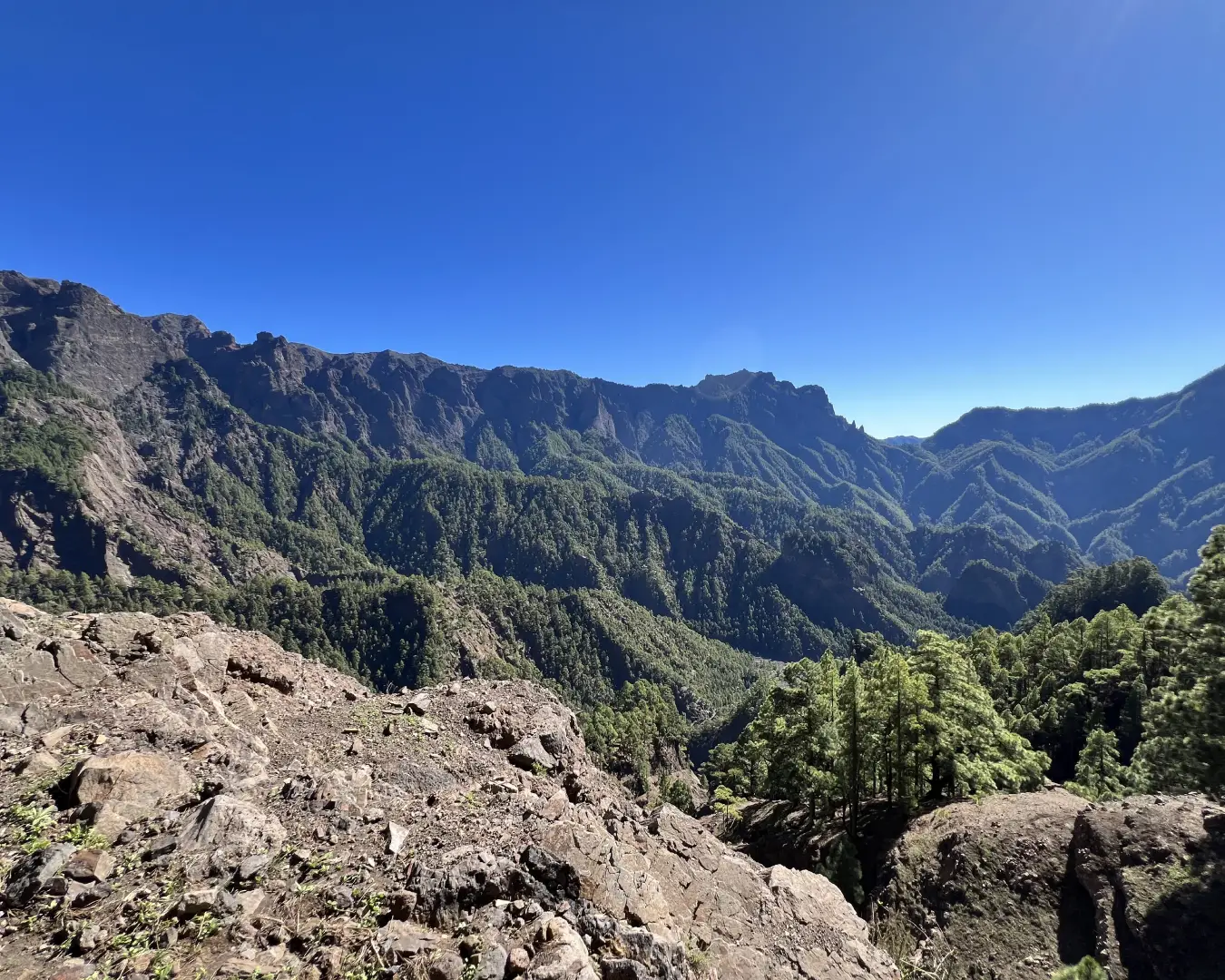 Vista de la Caldera de Taburiente en La Palma con montañas verdes y terreno típco de Canarias.