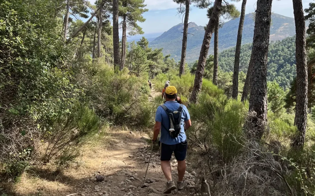 Senderista haciendo trekking por un sendero típico de las cumbres de San Lorenzo de El Escorial